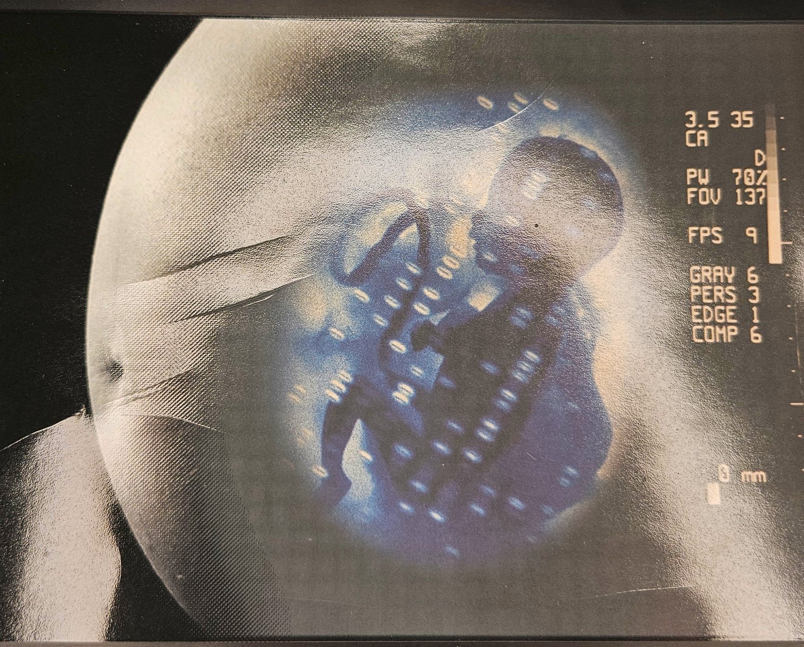 Fotoreativa